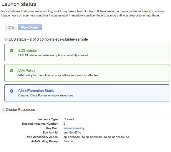Launch status